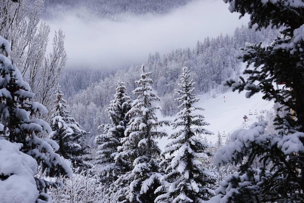 Serre Chevalier,Chantemerle,T2 Proche Pistes Saint-Chaffrey Buitenkant foto